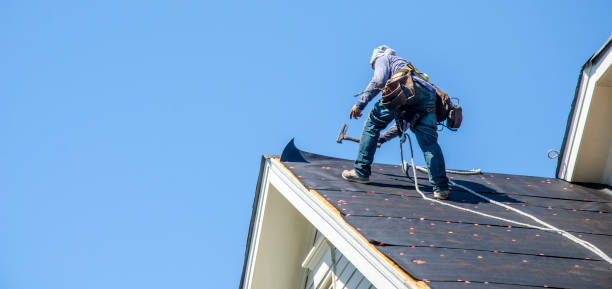 Best Roof Gutter Cleaning  in Highland, KS